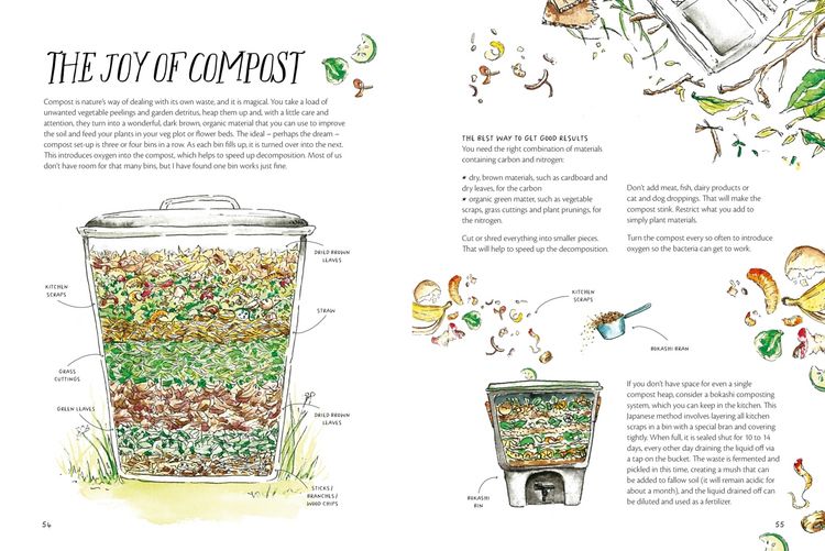 Produktbild: The Magic of Seeds