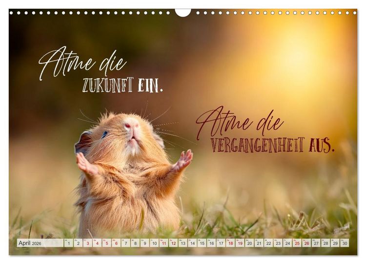 Produktbild: SEELENZEIT Ein Jahr voller Achtsamkeit (Wandkalender 2026 DIN A3 quer), CALVENDO Monatskalender