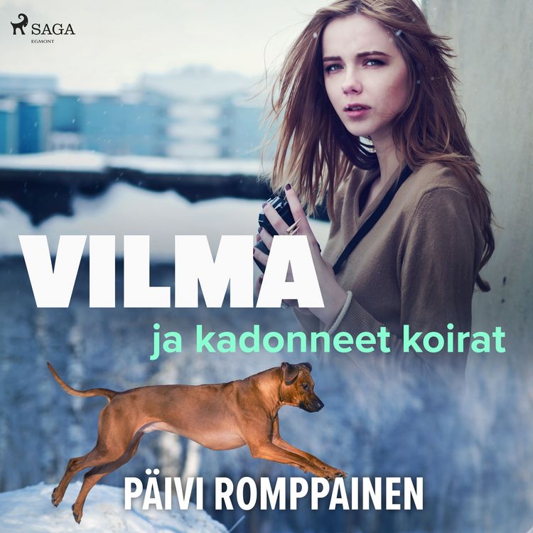 Produktbild: Vilma ja kadonneet koirat