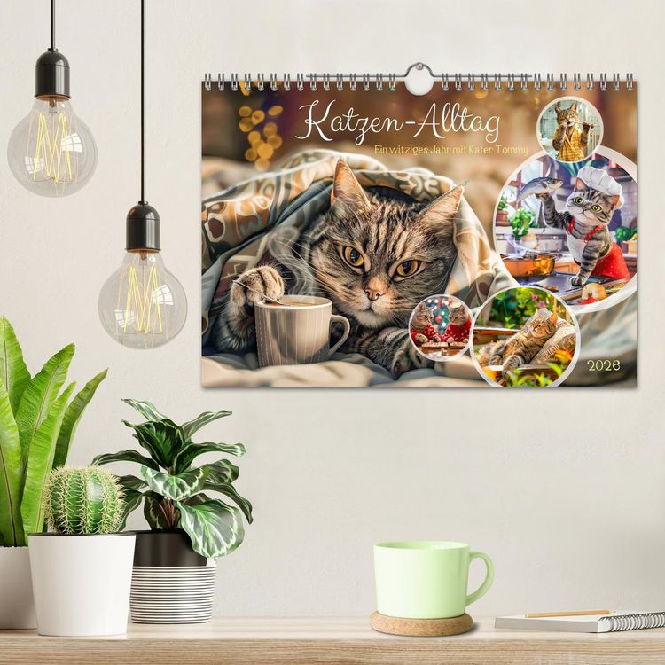Produktbild: Katzen-Alltag - Ein witziges Jahr mit Kater Tommy (Wandkalender 2026 DIN A4 quer), CALVENDO Monatskalender