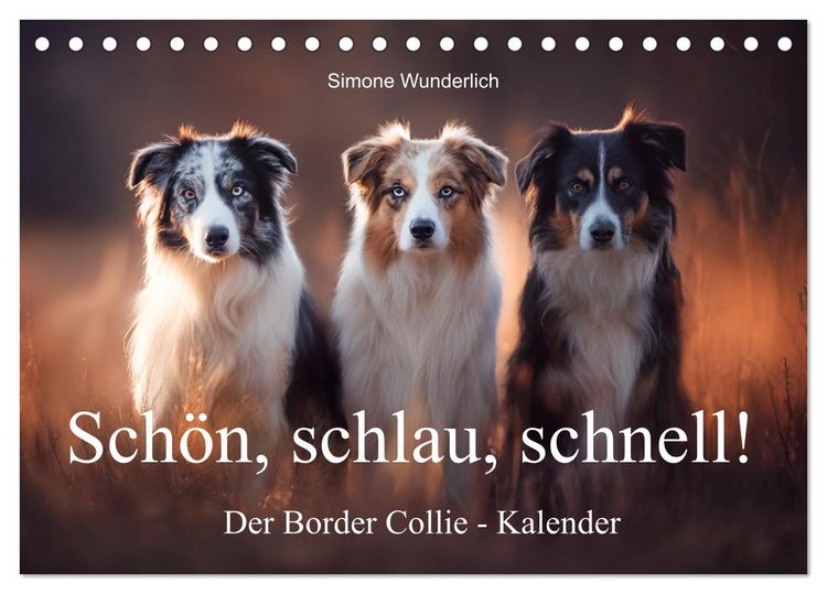 Produktbild: Sch&ouml;n, schlau, schnell! - Der Border Collie - Kalender (Tischkalender 2026 DIN A5 quer), CALVENDO Monatskalender