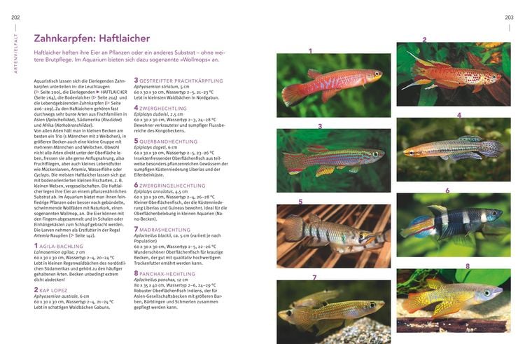 Produktbild: Praxishandbuch Aquarium