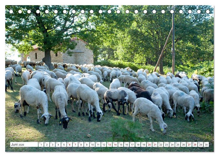 Produktbild: Chalkidiki - Urlaubsparadies in Nordgriechenland (Tischkalender 2026 DIN A5 quer), CALVENDO Monatskalender