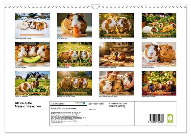 Produktbild: Kleine s&uuml;&szlig;e Meerschweinchen (Wandkalender 2027 DIN A3 quer), CALVENDO Monatskalender