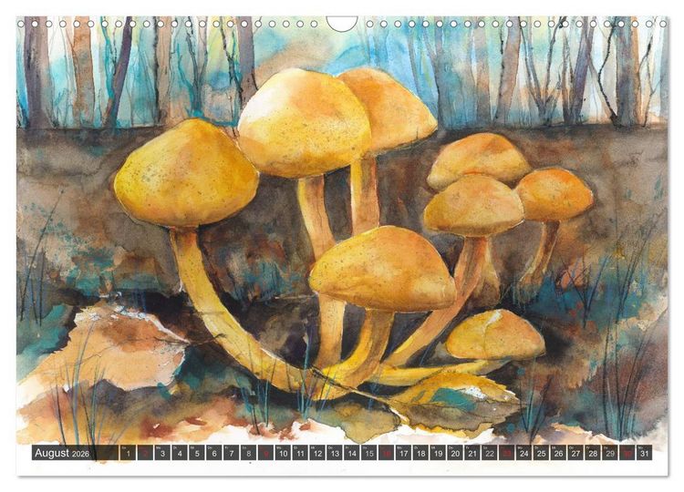 Produktbild: Pilze in Aquarell (Wandkalender 2026 DIN A3 quer), CALVENDO Monatskalender