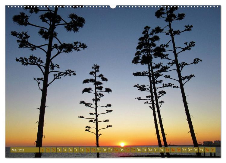 Produktbild: In den Subtropen (Wandkalender 2026 DIN A2 quer), CALVENDO Monatskalender