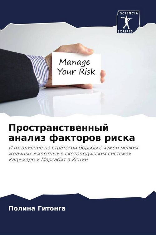 Produktbild: Prostranstwennyj analiz faktorow riska