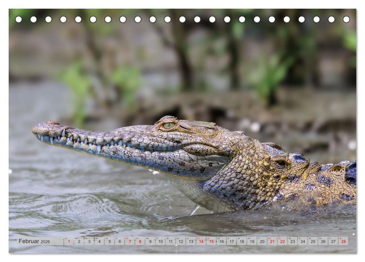 Produktbild: Tropenparadies zwischen Ozeanen Costa Rica (Tischkalender 2026 DIN A5 quer), CALVENDO Monatskalender