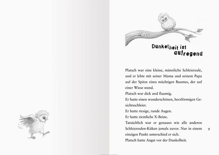 Produktbild: Die kleine Eule