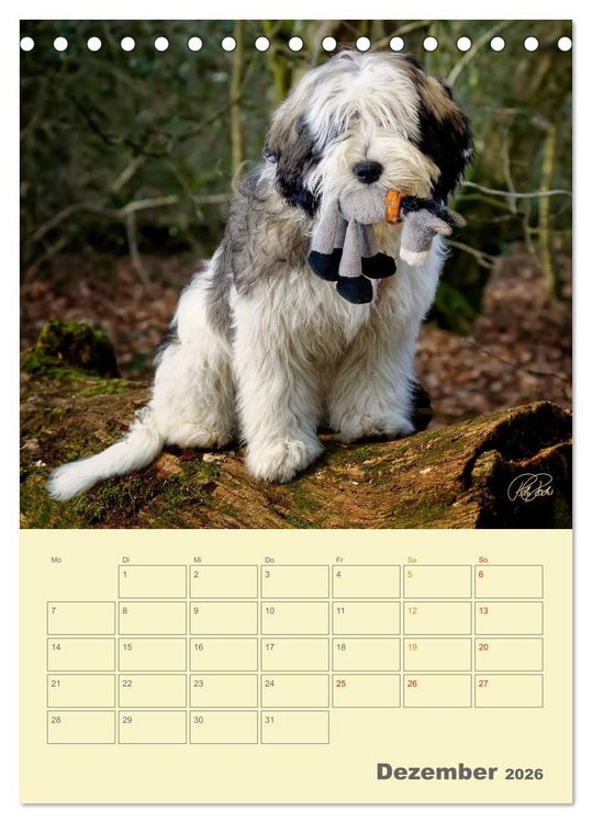 Produktbild: PON-Welpen - jeder Tag ein gro&szlig;es Abenteuer / Planer (Tischkalender 2026 DIN A5 hoch), CALVENDO Monatskalender