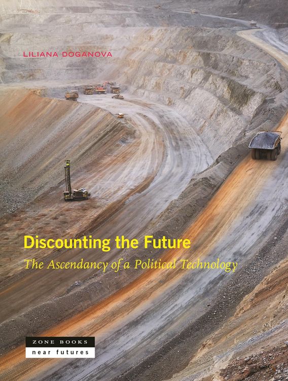 Produktbild: Discounting the Future