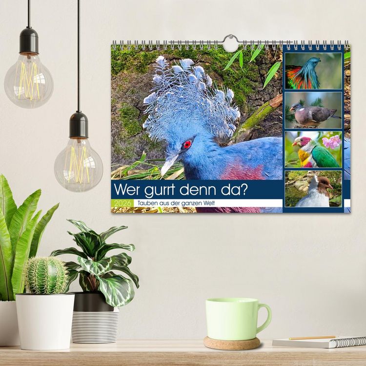 Produktbild: Wer gurrt denn da? (Wandkalender 2026 DIN A4 quer), CALVENDO Monatskalender