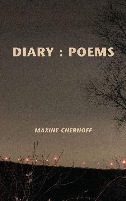 Produktbild: Diary