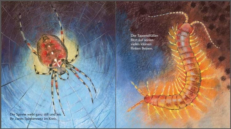 Produktbild: Mein kleines Insektenbuch