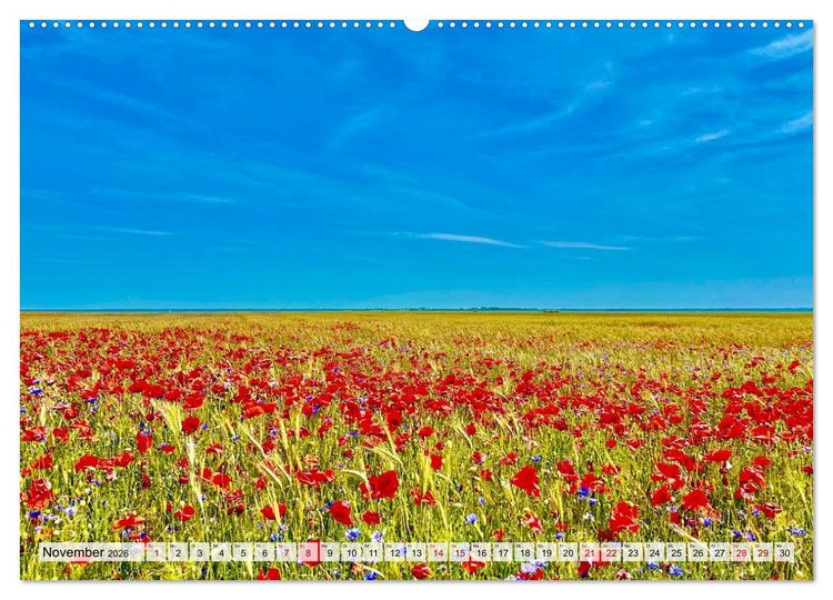 Produktbild: Fischland: zwischen Ostsee und Bodden (Wandkalender 2026 DIN A2 quer), CALVENDO Monatskalender