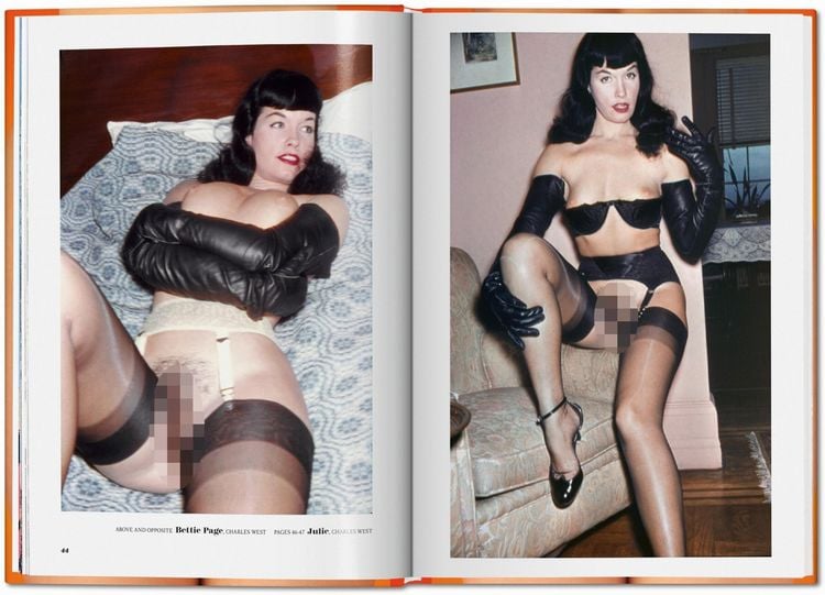 Produktbild: The Little Big Book of Pussy