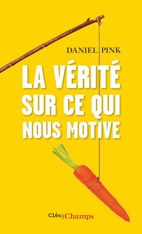 Produktbild: Pink, D: V&eacute;rit&eacute; sur ce qui nous motive