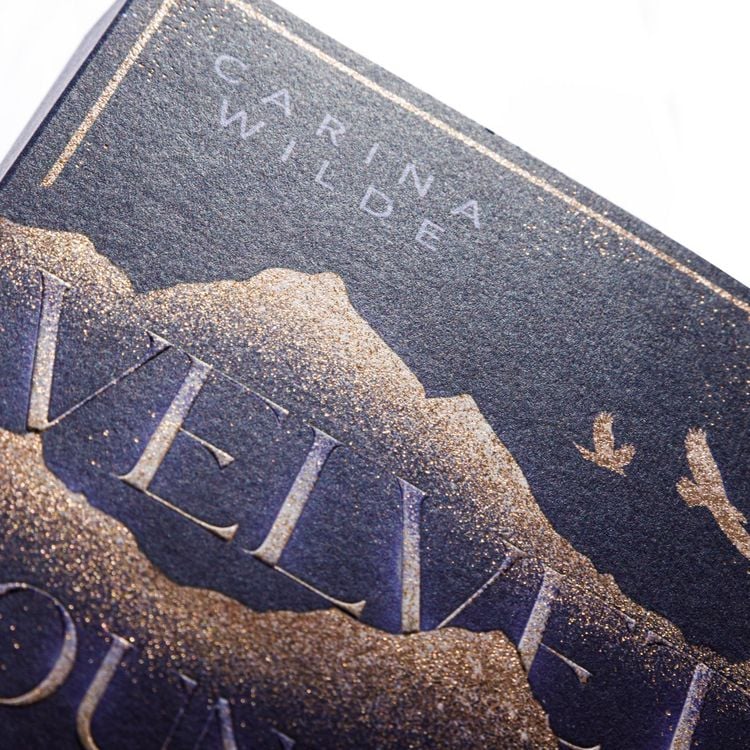 Produktbild: Risk With Me (Velvet Mountains 1)