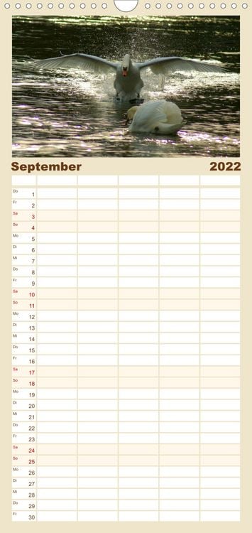 Produktbild: Das faszinierende Leben der Schw&auml;ne - Familienplaner hoch (Wandkalender 2022 , 21 cm x 45 cm, hoch)