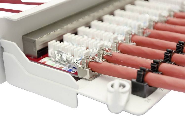 Produktbild: Digitus DN-91624S-EA 24 Port Netzwerk-Patchpanel 483 mm (19") CAT 6a 1 HE Lichtgrau (RAL 7035) Best&uuml;ckt