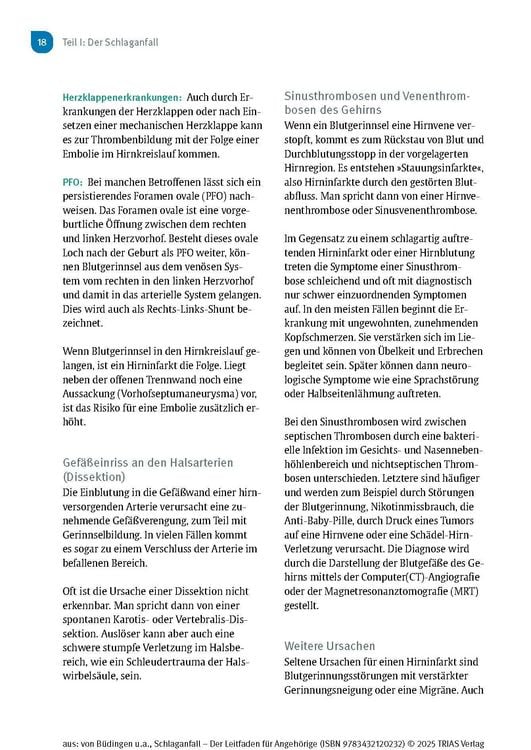 Produktbild: Schlaganfall - Der Leitfaden f&uuml;r Angeh&ouml;rige