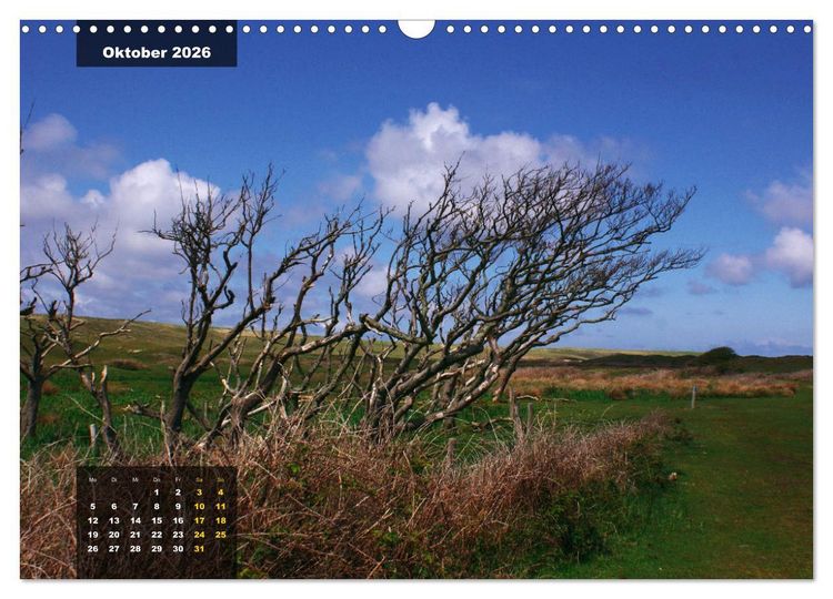 Produktbild: Texel Insel mit Charakter (Wandkalender 2026 DIN A3 quer), CALVENDO Monatskalender