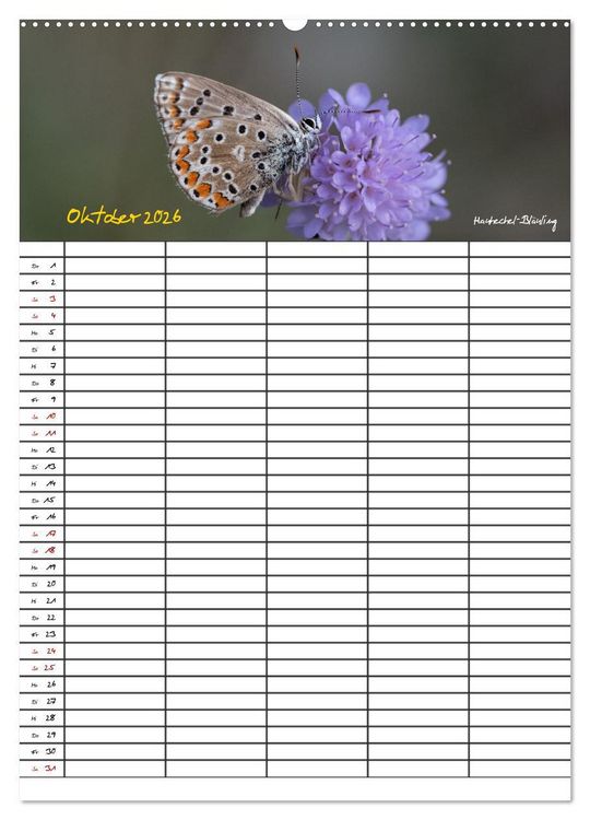 Produktbild: Schmetterlinge in Bayern (Wandkalender 2026 DIN A2 hoch), CALVENDO Monatskalender