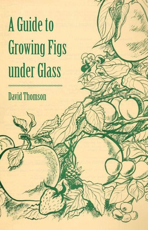 Produktbild: A Guide to Growing Figs Under Glass