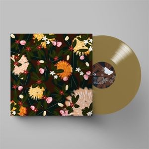 Produktbild: NOISE FLOOR (RARITIES:1998-2005) (Champagne Wave L