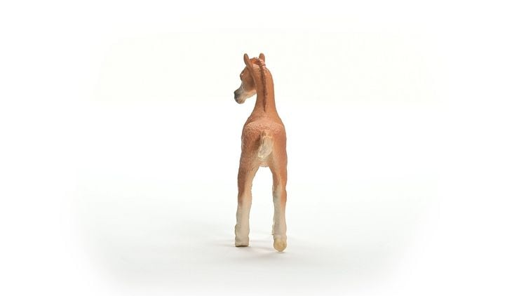 Produktbild: schleich&reg; Horse Club Araber Fohlen 8cm