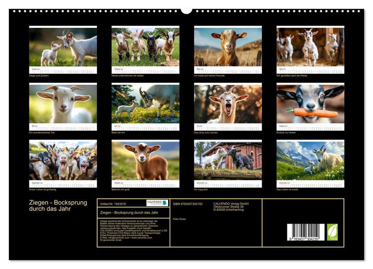 Produktbild: Ziegen - Bocksprung durch das Jahr (hochwertiger Premium Wandkalender 2026 DIN A2 quer), Kunstdruck in Hochglanz