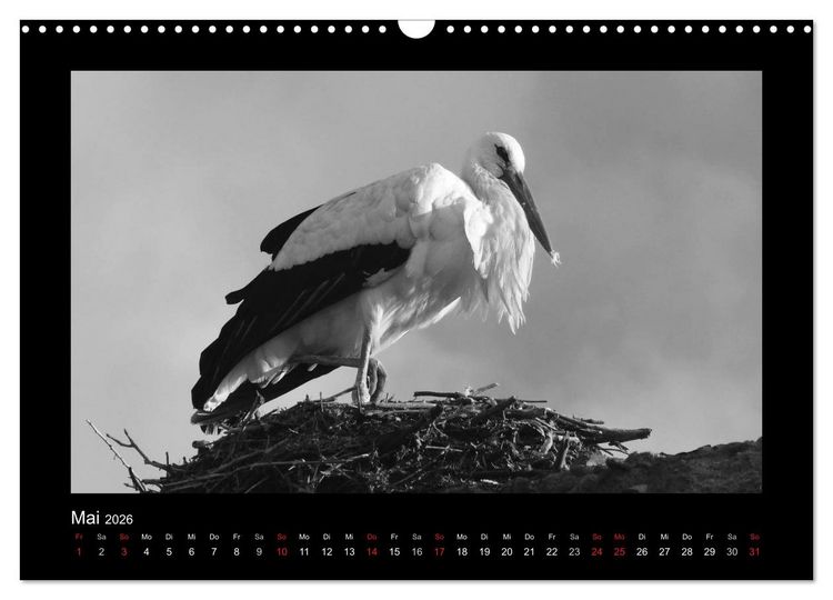 Produktbild: Marokko - Nostalgie in schwarz-weiss (Wandkalender 2026 DIN A3 quer), CALVENDO Monatskalender