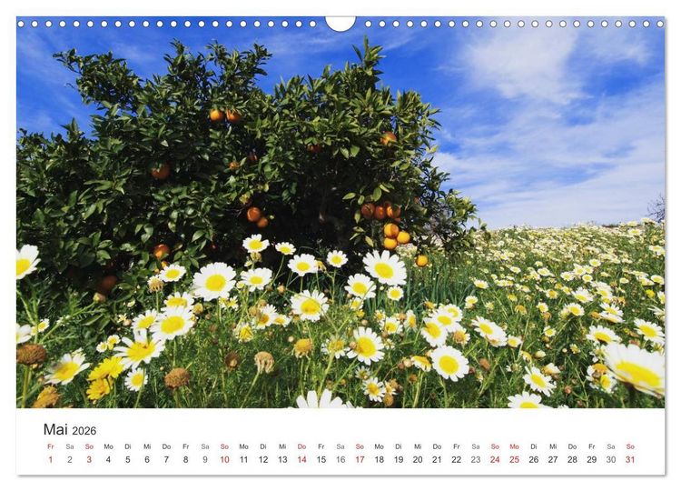 Produktbild: Mallorca - auf in den Urlaub (Wandkalender 2026 DIN A3 quer), CALVENDO Monatskalender