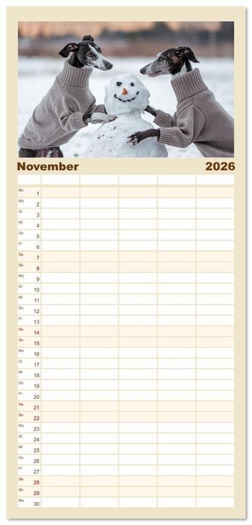 Produktbild: Familienplaner 2026 - Funny Greyhounds - Windhunde mal anders mit 5 Spalten (Wandkalender, 21 x 45 cm) CALVENDO
