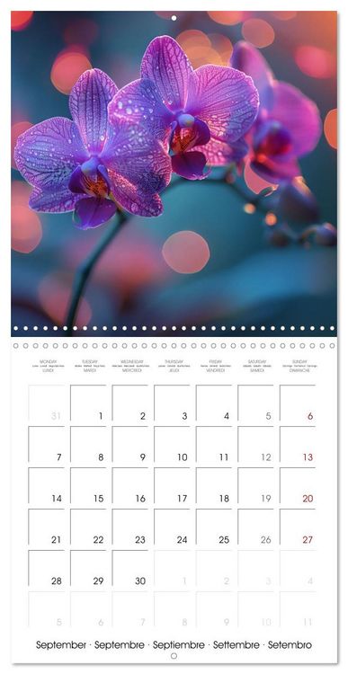 Produktbild: colorful orchid family planner (Wall Calendar 2026 12 &times; 12 Inch) CALVENDO 12 Month Wall Calendar