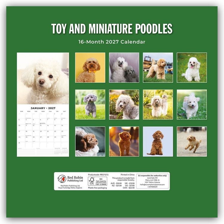 Produktbild: Toy and Miniature Poodles &ndash; Zwergpudel 2027 &ndash; 16-Monatskalender