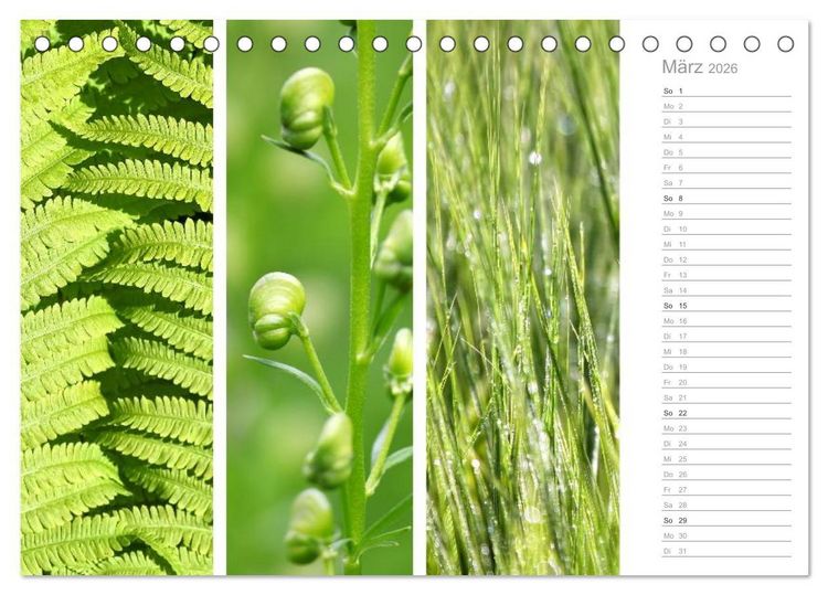 Produktbild: Nat&uuml;rlicher Dreiklang (Tischkalender 2026 DIN A5 quer), CALVENDO Monatskalender