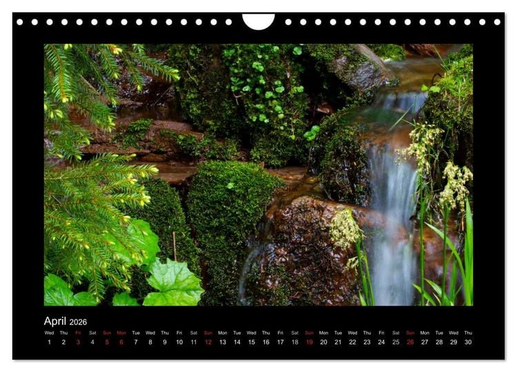 Produktbild: The Black Forest - UK Version (Wall Calendar 2026 DIN A4 landscape), CALVENDO 12 Month Wall Calendar