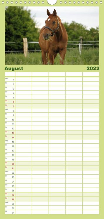 Produktbild: Familienplaner Faszination Pferde (Wandkalender 2022 , 21 cm x 45 cm, hoch)