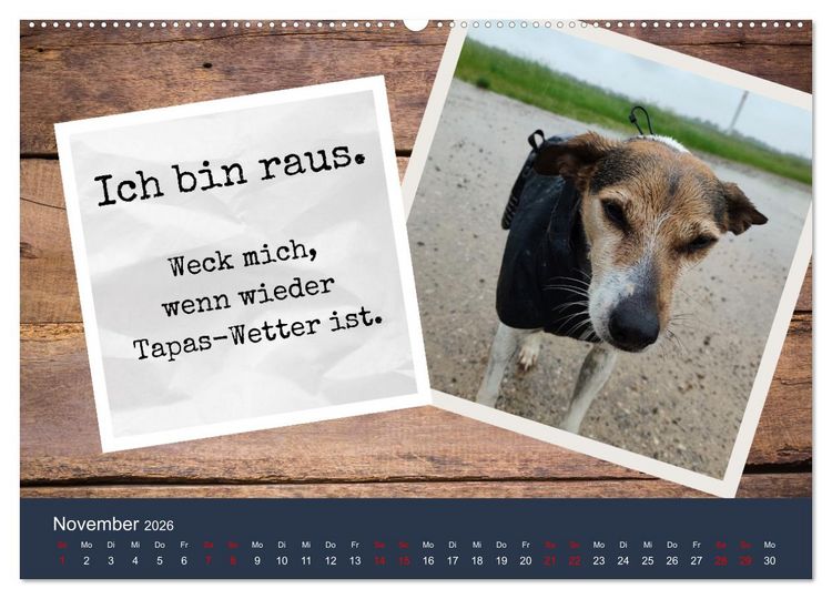Produktbild: Ratonero Bodeguero Andaluz (Wandkalender 2026 DIN A2 quer), CALVENDO Monatskalender