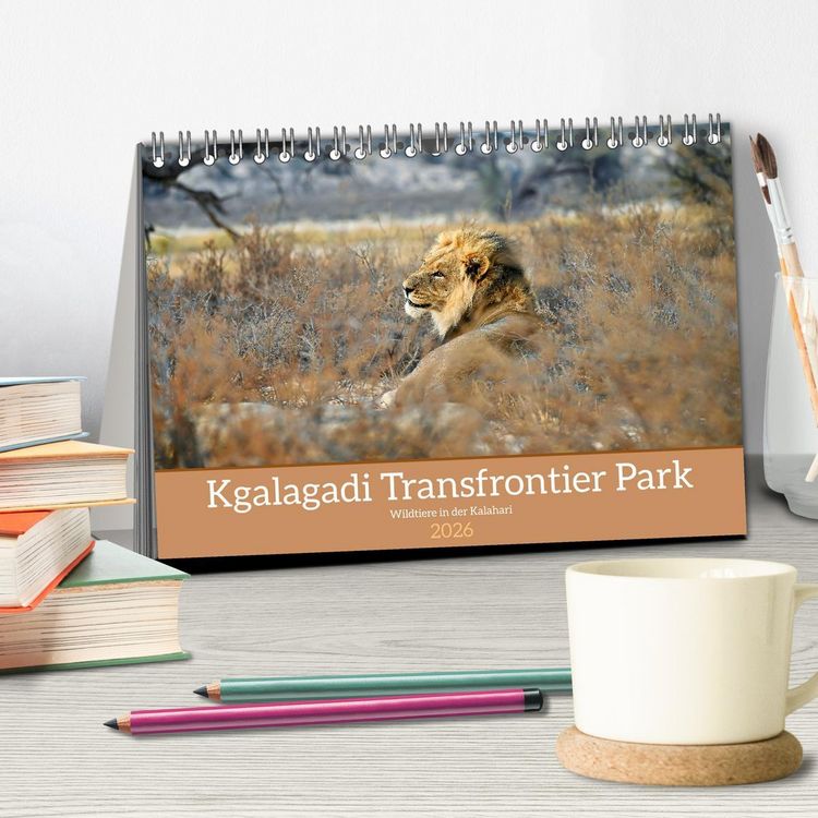 Produktbild: Kgalagadi - Fauna und Wildtiere in der Kalahari (Tischkalender 2026 DIN A5 quer), CALVENDO Monatskalender