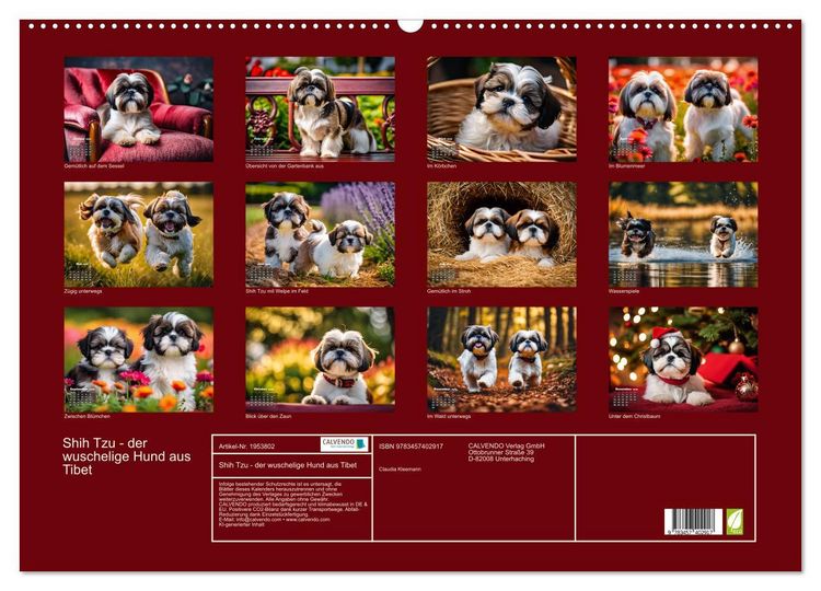 Produktbild: Shih Tzu - der wuschelige Hund aus Tibet (Wandkalender 2026 DIN A2 quer), CALVENDO Monatskalender