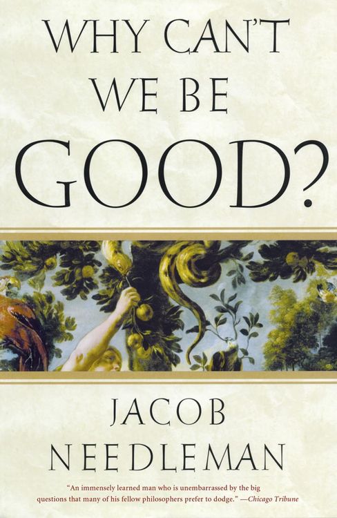 Produktbild: Why Can't We Be Good?
