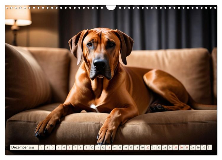 Produktbild: Rhodesian Ridgeback - Athlet mit R&uuml;ckenkamm (Wandkalender 2026 DIN A3 quer), CALVENDO Monatskalender