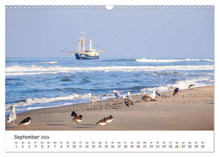 Produktbild: D&uuml;nen und Meer Nordseemomente (Wandkalender 2026 DIN A3 quer), CALVENDO Monatskalender
