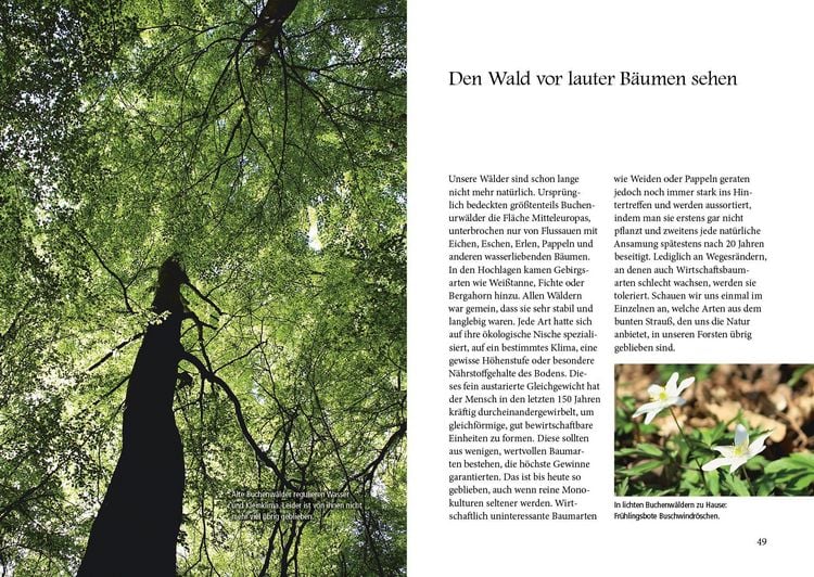 Produktbild: Menschenspuren im Wald