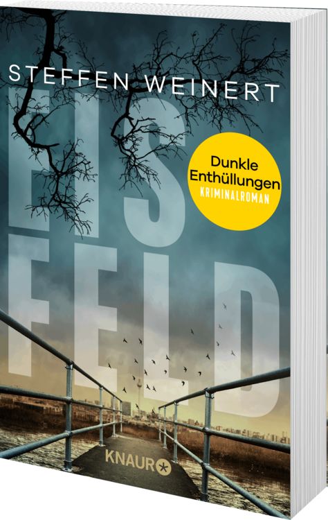 Produktbild: Eisfeld &ndash; Dunkle Enth&uuml;llungen