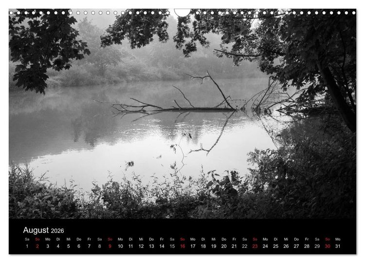 Produktbild: B&auml;ume trees 2026 (Wandkalender 2026 DIN A3 quer), CALVENDO Monatskalender