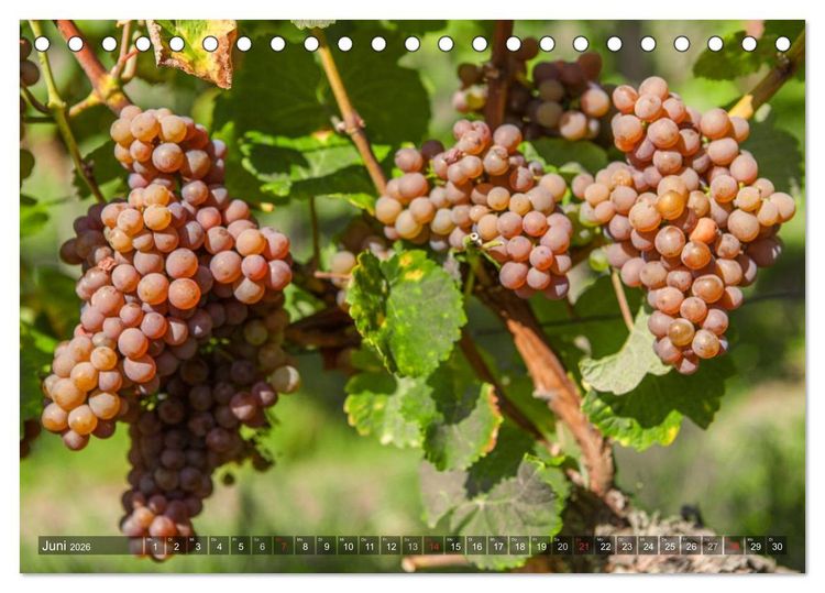 Produktbild: Weinlagen in Franken (Tischkalender 2026 DIN A5 quer), CALVENDO Monatskalender