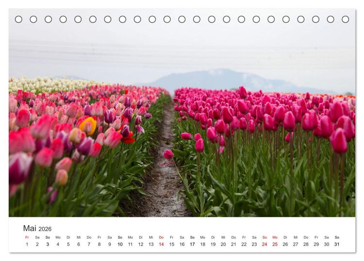 Produktbild: Weisheit - Der Weg ist das Ziel (Tischkalender 2026 DIN A5 quer), CALVENDO Monatskalender